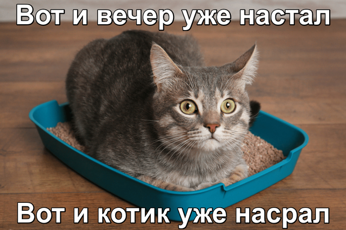 ��� ��� ������