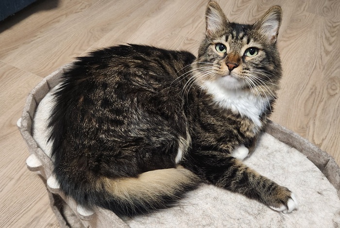 ���������� ������� #234