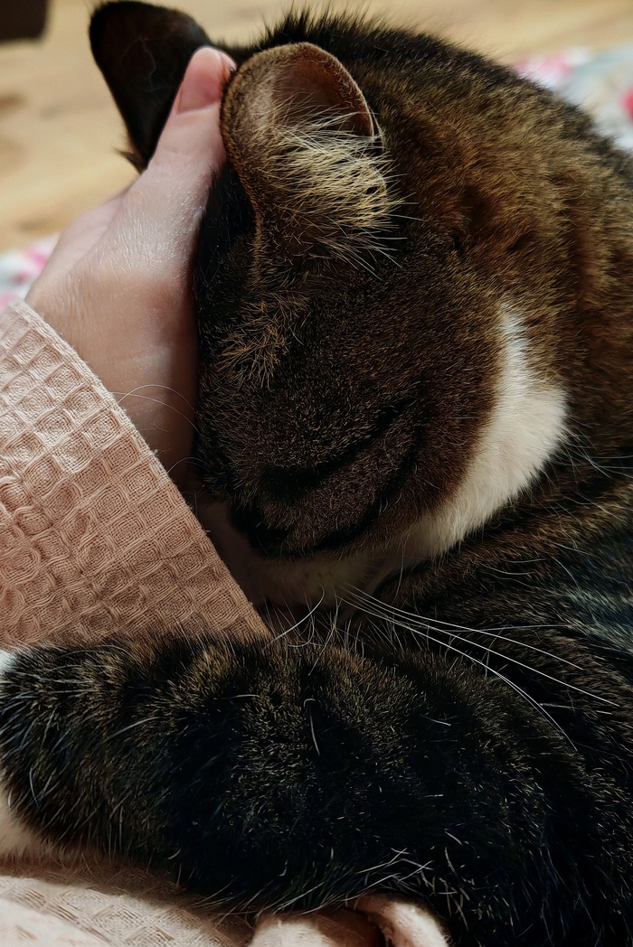 Приболела моя булочка