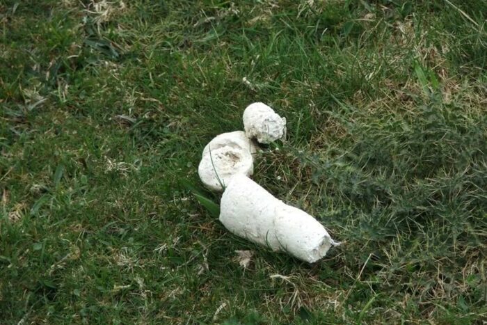 ������ ������ �� ����� ���� ����� ����� �������� �������?