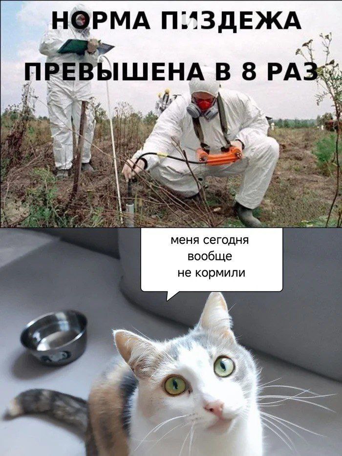 �� �� ��� ����� ���������