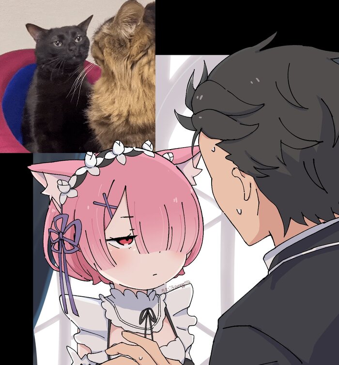 Мяу