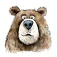 ������ ������������ Winnie77ru