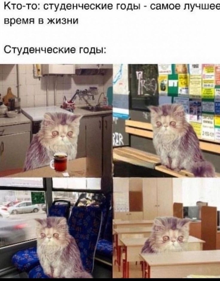 ��� � �����