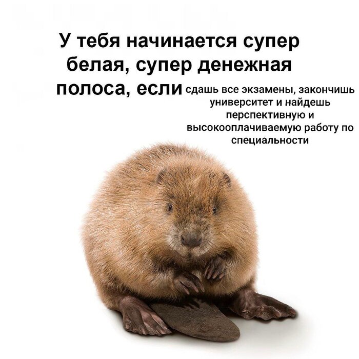 ����� ��� �����