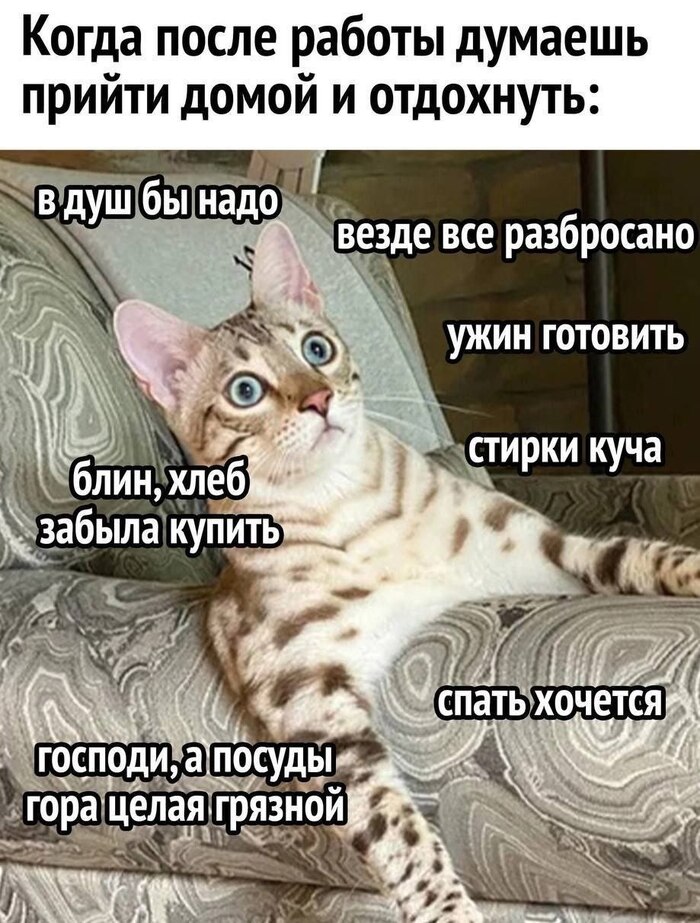 ����� �� �� �������