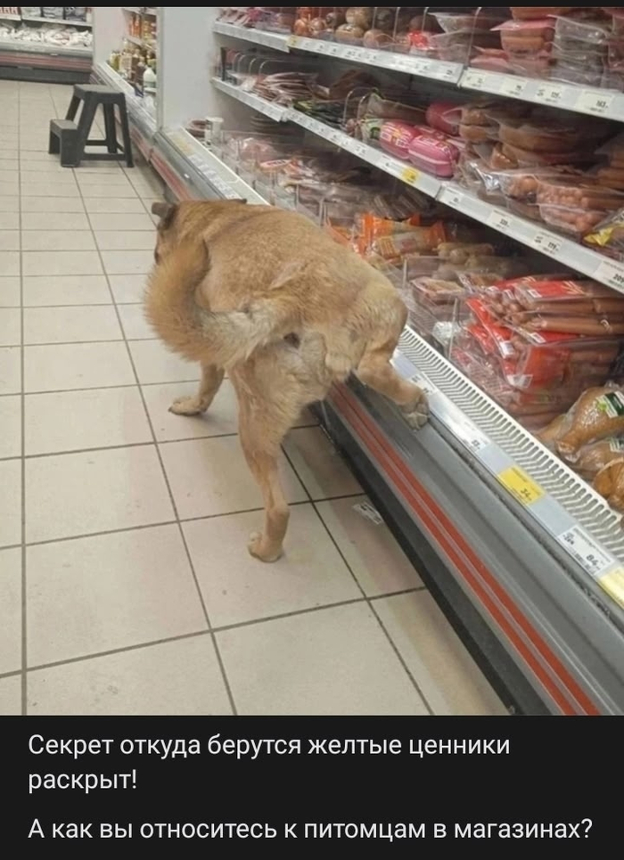 Откуда берутся желтые ценники