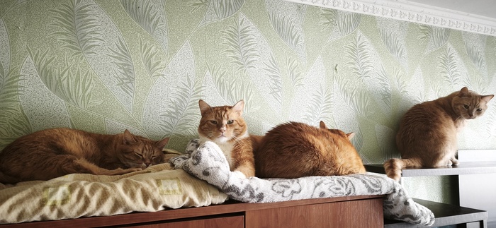 ��� ������ ����� �����