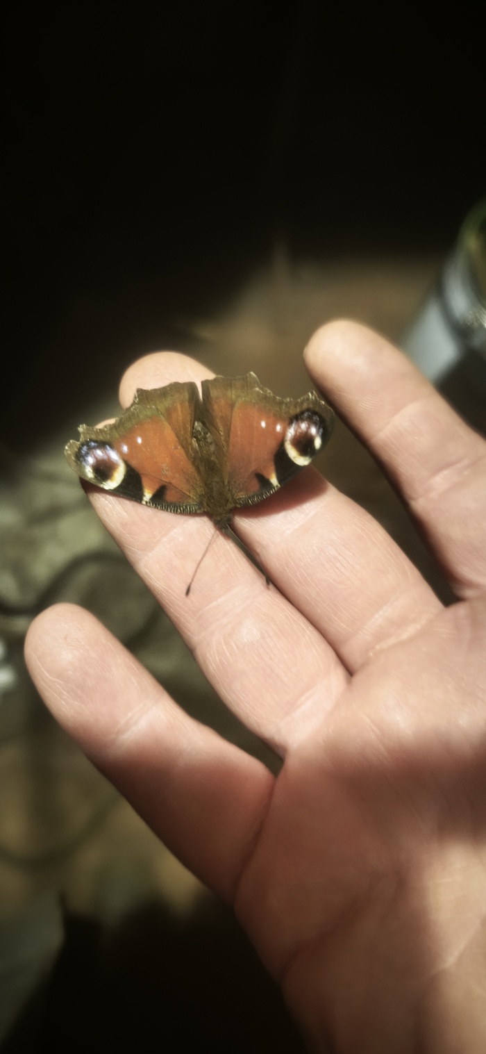 ����� ������