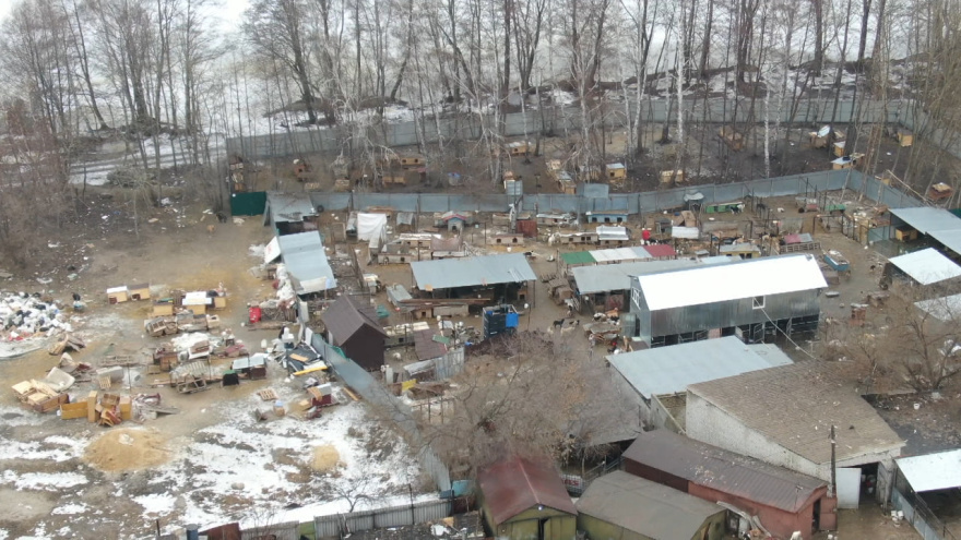 Animal shelters pose a biological threat - Negative, Stray dogs, Animal defenders, Shelter, Voronezh region, Video, Video VK, Longpost
