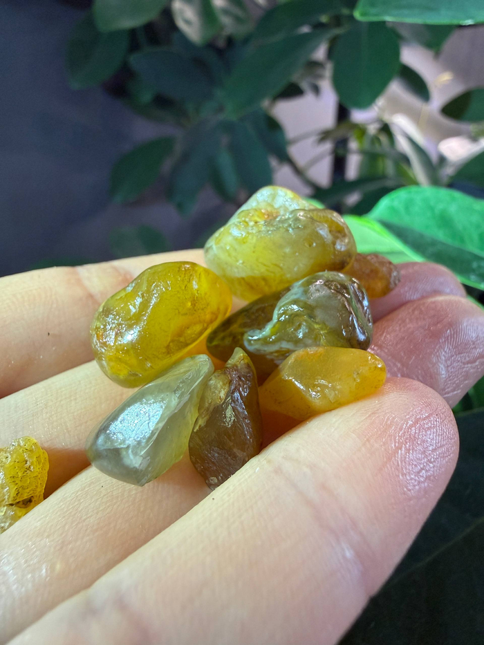 ��������� ����� ��������� ) 