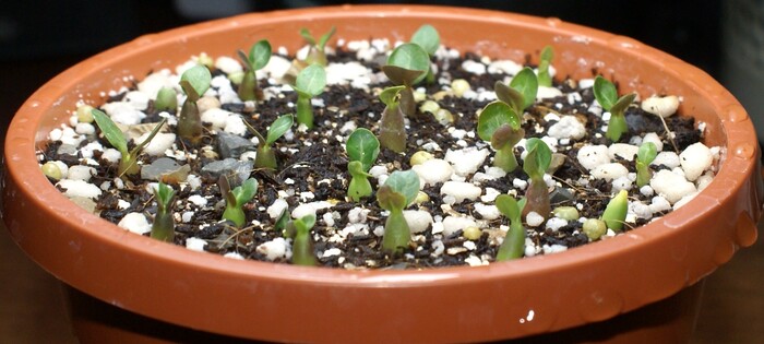 ����� ��������� �� 14.03.26.