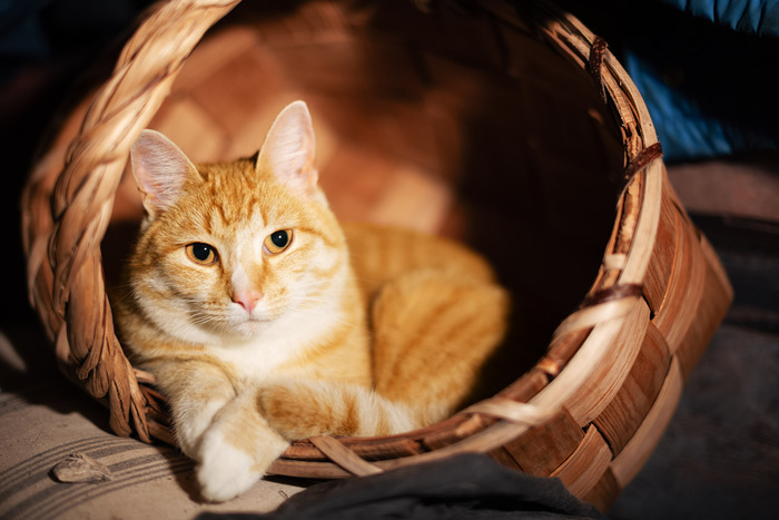 ����� � ������� ;)