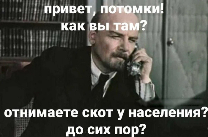 Ответ на пост «Вы укрываете у себя коров, ведь так?»