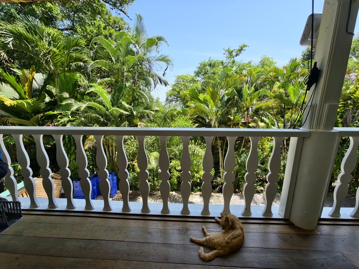 Вилла окружена зеленью. Вокруг птицы и летучие лисицы. Обезьян на острове нет.