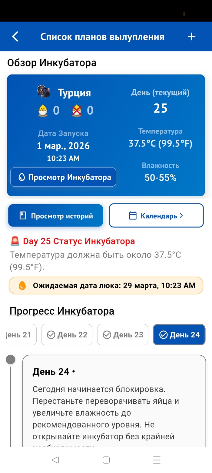 ����������� ������������ ����������