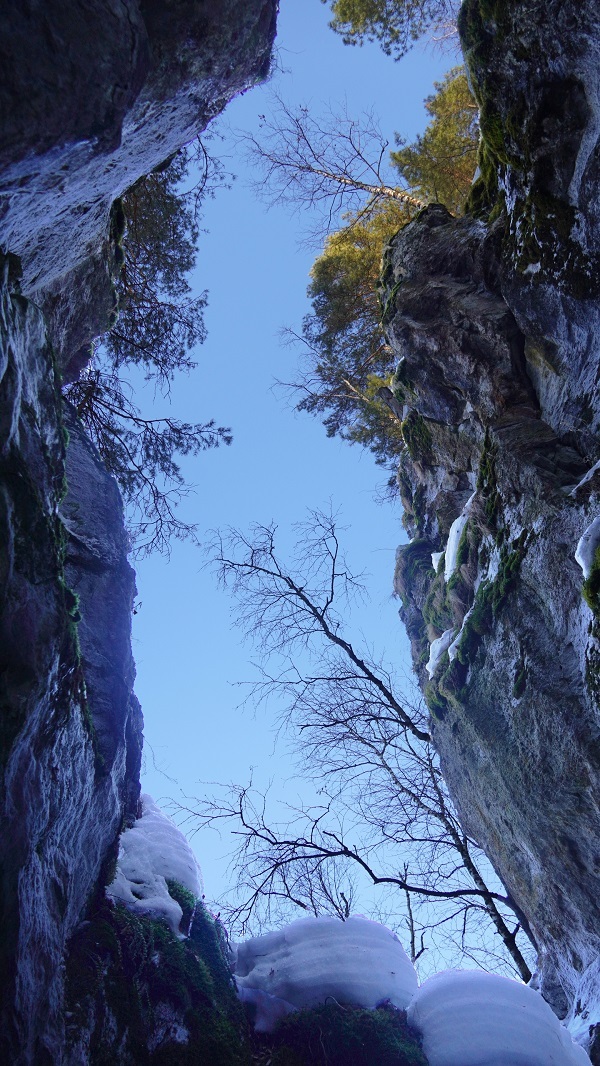 ������������ ������� � ������ �� ���� ��. ����: ������ ��������� 