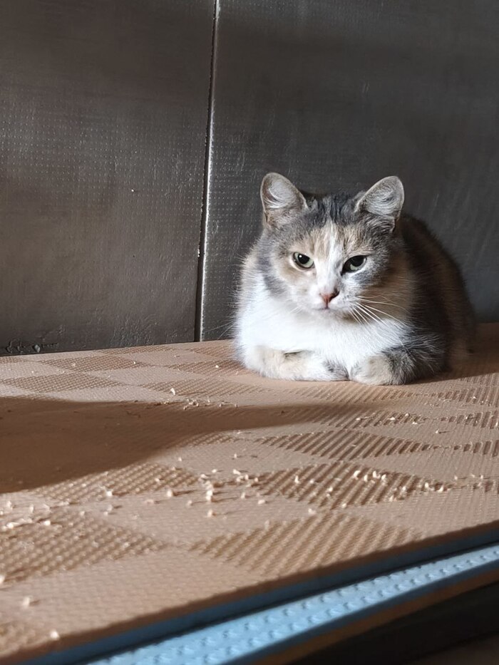 ��������. ���, ��� ���� ��������. ������ ������ ��� ����� ��������. 