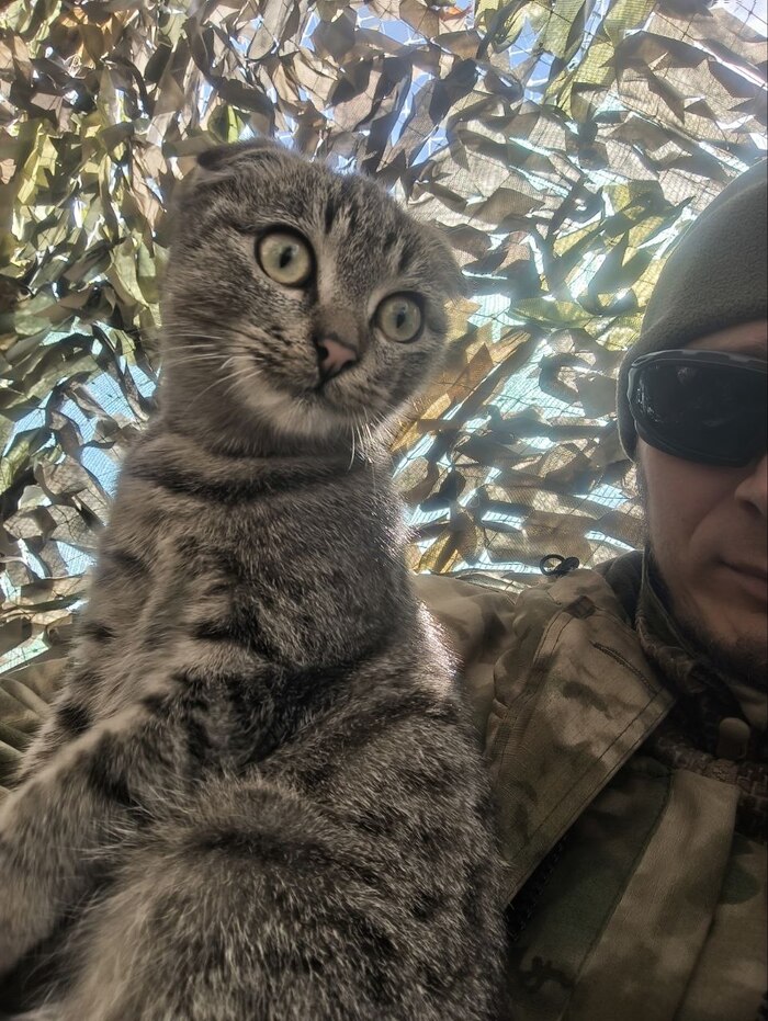 ��� - �� ������. 