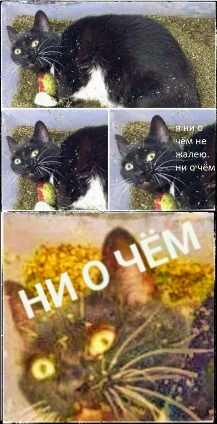 ��� ����� ����������