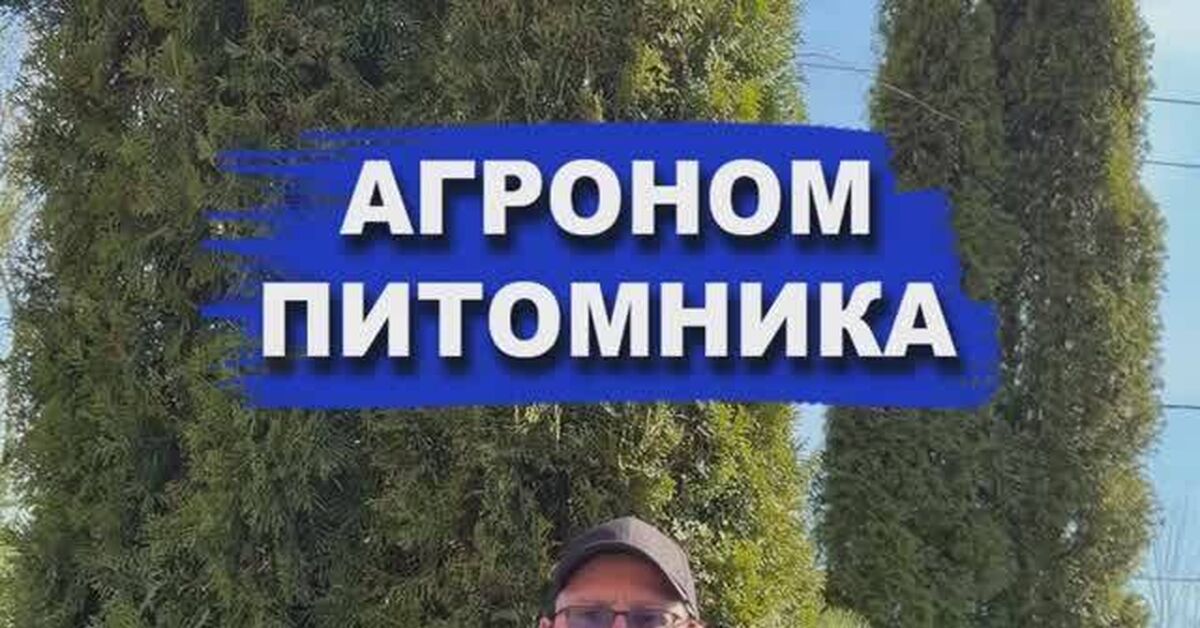 Treatment of conifers from diseases in spring - My, Garden, Conifers, Thuja, Spring, Disease, Spraying, Gardening, Plant growing, Plants, Video, Rutube, Short videos