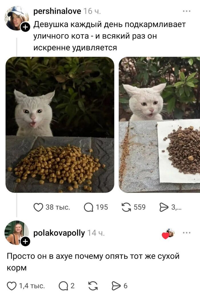 ��� ����� � ��������? ����� �������� ?!?