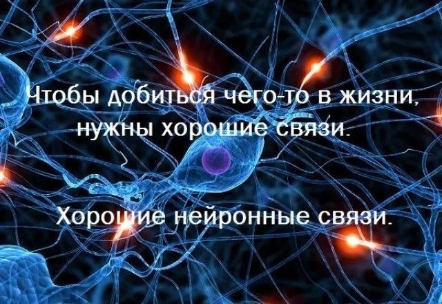 ��������: �������� �������