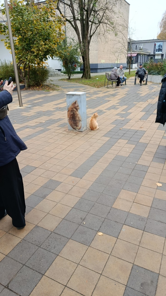 Та самая фотография с рыжим котофеем. Харизма котофея 10 из 10.