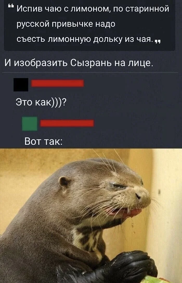 no7vl5oj.webp