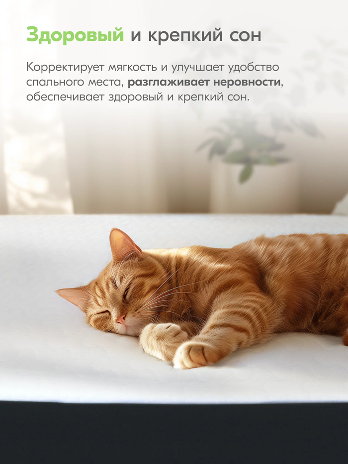 ������ ������ ������� 160�200: ������� ������� � ��������� ������