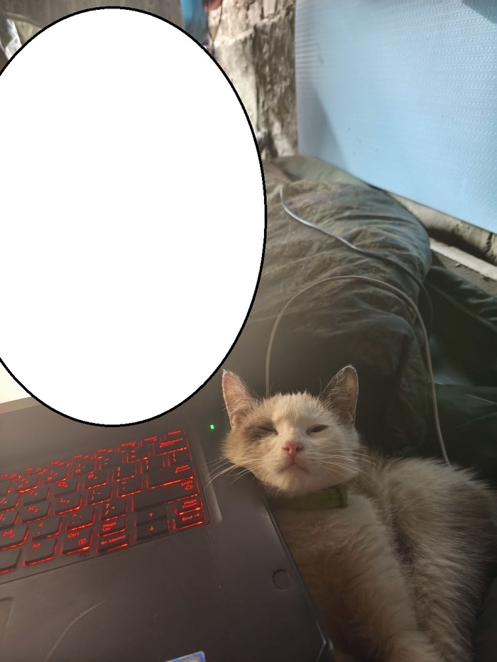 ��� ��� ������, ���� ����� �������, �� ����� ��� ��� ����� ��� ����� ��������. ��������� ������ � ������� ����� � �������. 