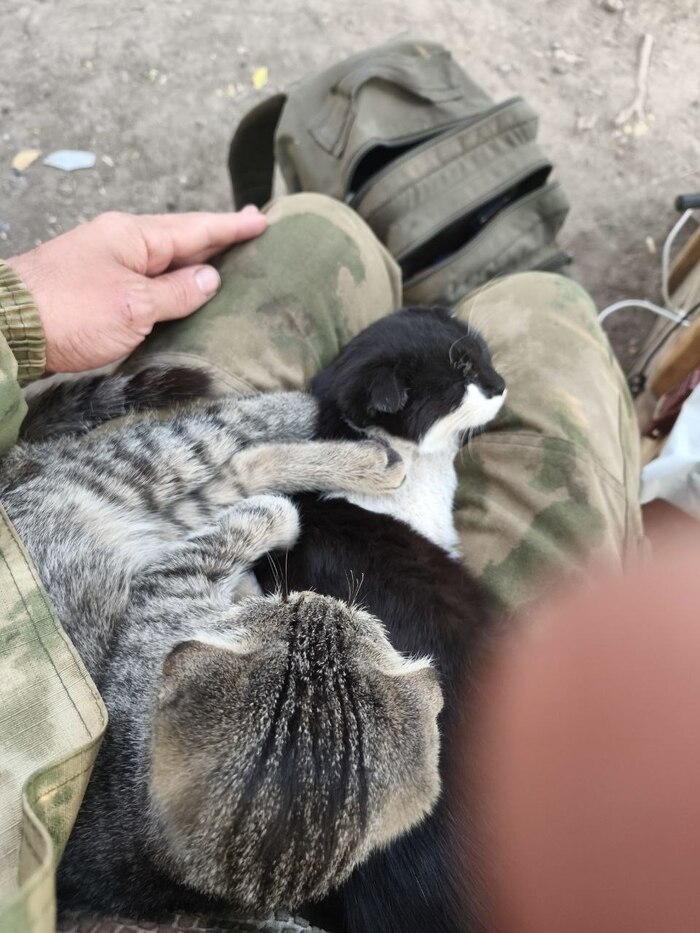 ��� ����� ����������� ��������. �� ��� ��� ������� ������ � ���������� ������� ��� ���������� �������. 