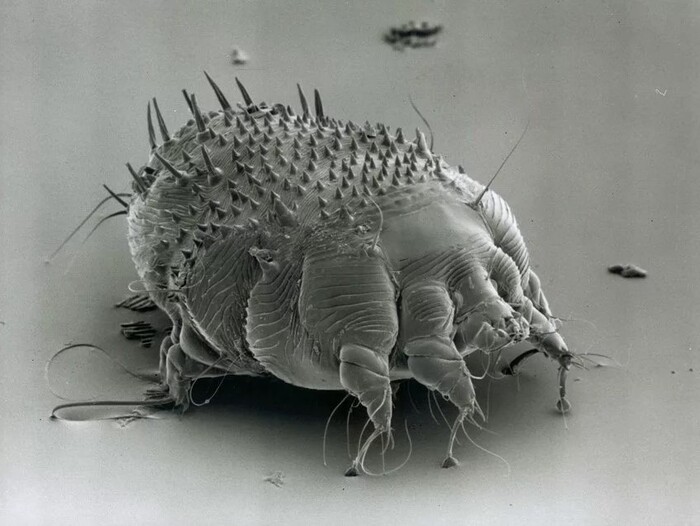 �� ������� ���� ��������� ����. ���������� ������