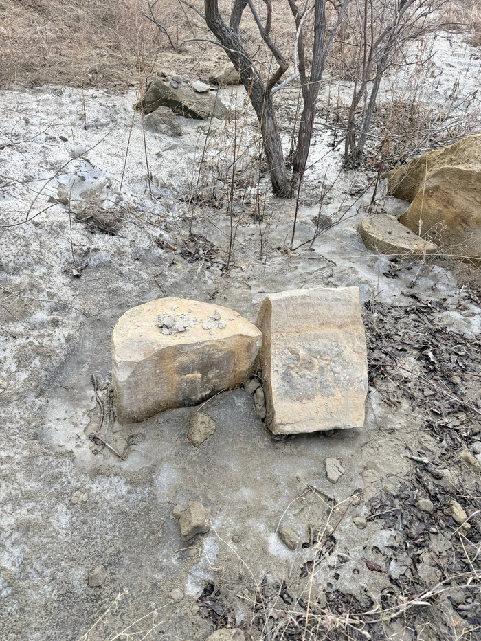 ������� ������