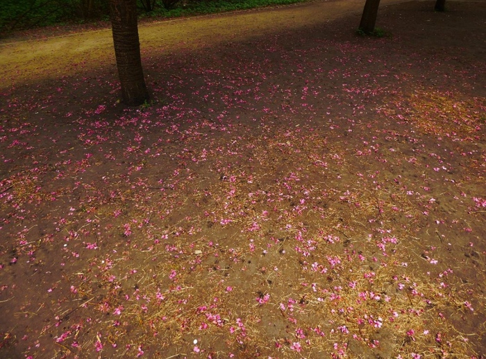 ���� ������, ���� ����������.