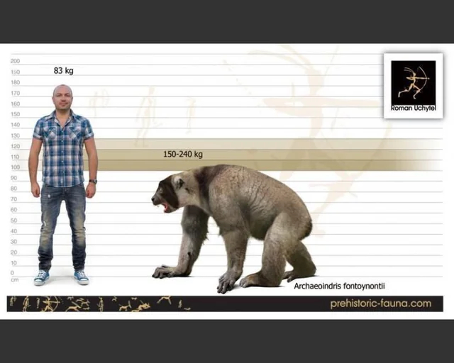 ���������� �����, ����������� ���� ��������� ������ ����, ������.