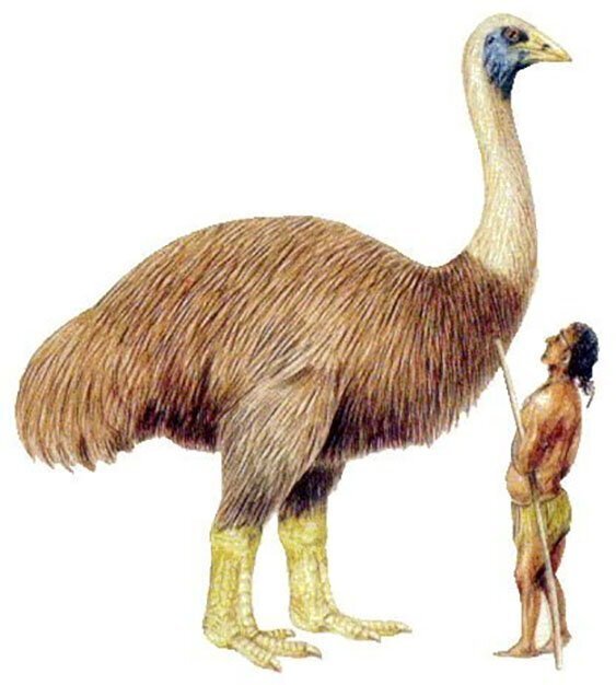 ����������� �����