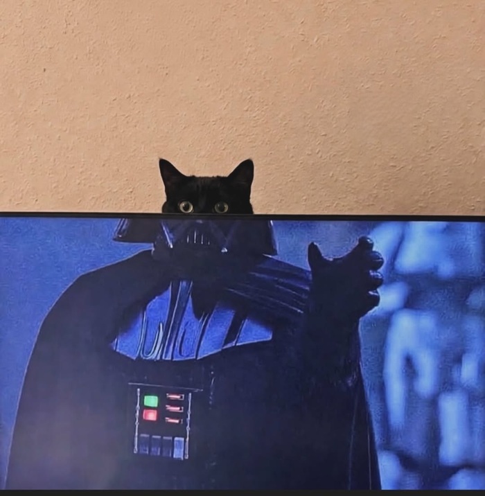 Ҹ���� ����