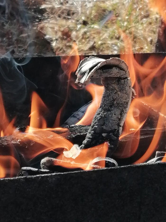 ��� ����� ��� ������ ������ 😁