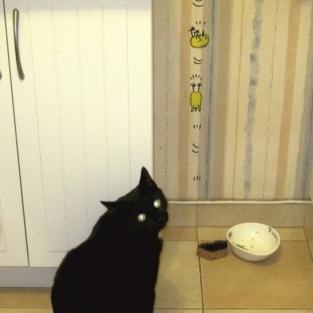 ׸���� ���, ����� � ��������� ����� ��� �������� ������ (��� �������� ����� �� �����). ���� ������� ������ ������ �� ����, �� ������ �������� �����.