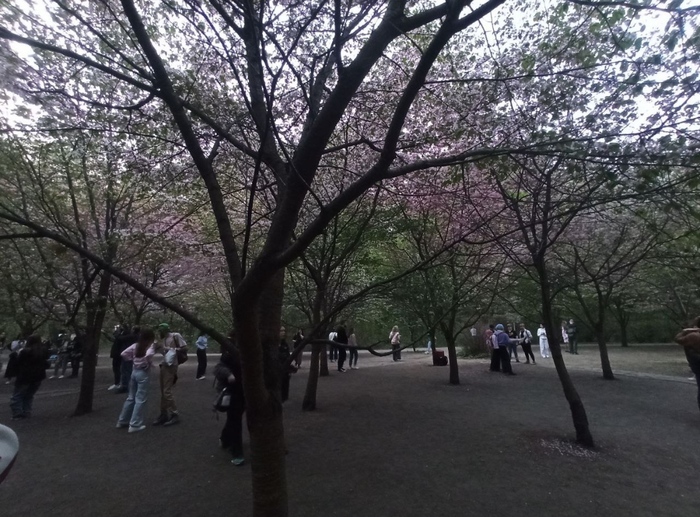 ���������� ������.