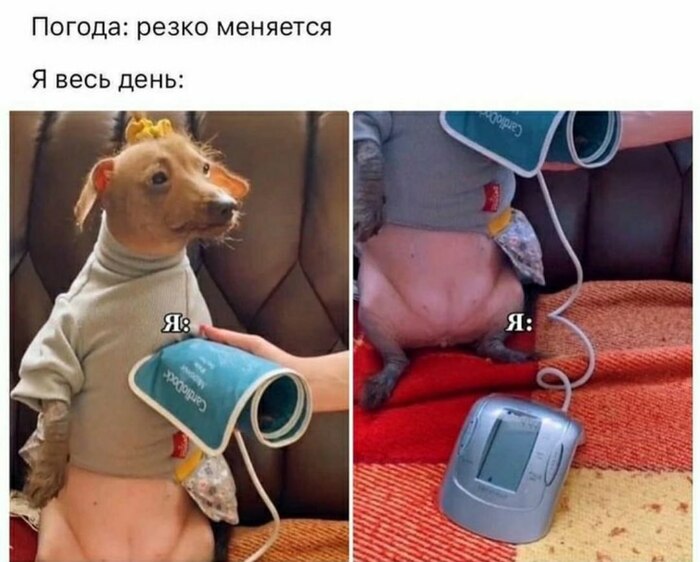 �������������� ����������: