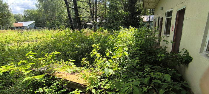 ����� ���������� ����, ������� ��������� ��������. ����� �������� ���� �������. ���� ����������� ����� � ������ ������������� ������.