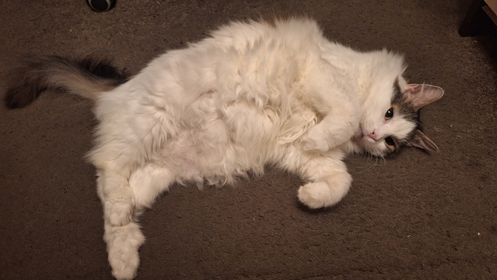 ������ � ���� ����������������� ���-������� ��������� � ������� ����� � ������� �������