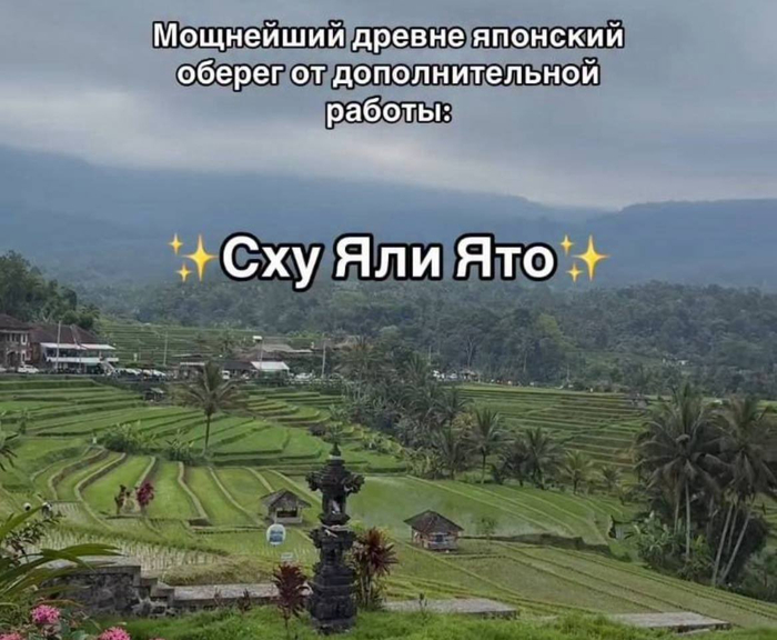 ���� �� �������