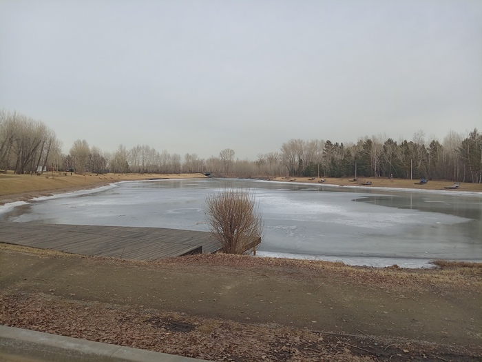 �����, � ����� ���� � ����