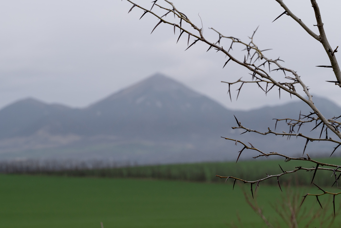 ����������� �� ������� � ������ ��������� ������ �� ����� � ����, ����� ���������������� ���� ������. ����� 1 ������ �� ������� ��� ������ 3 �����, �� ������ �� 10�� �� 1 �����. ������ ���������, ���� �������� �� ����������.