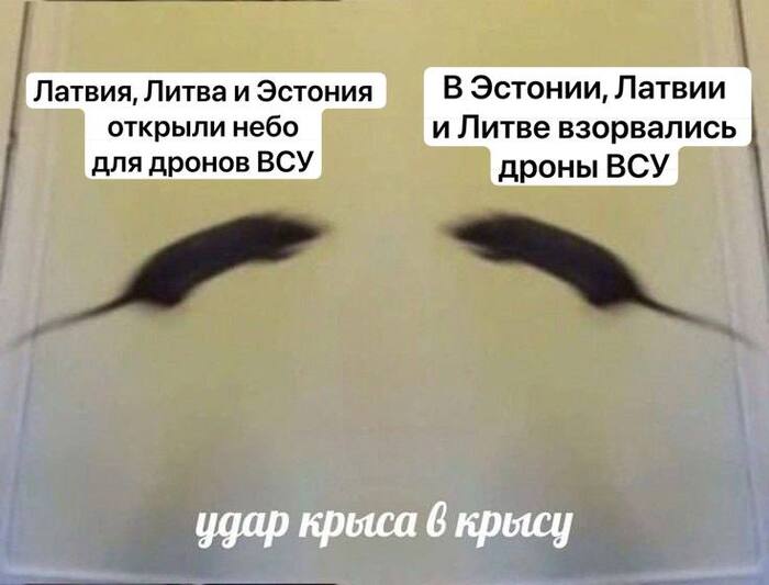 ����������� ���� �����