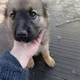 ����� ����� ������ ���� �����������