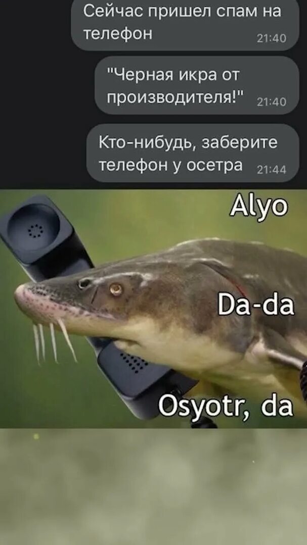 ������ ����